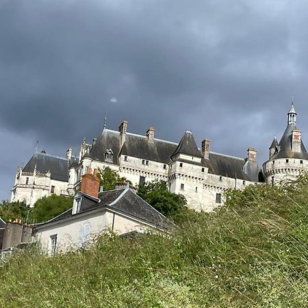 L'Orme Seul, Maison D'Hotes Vineuil  Esterno foto