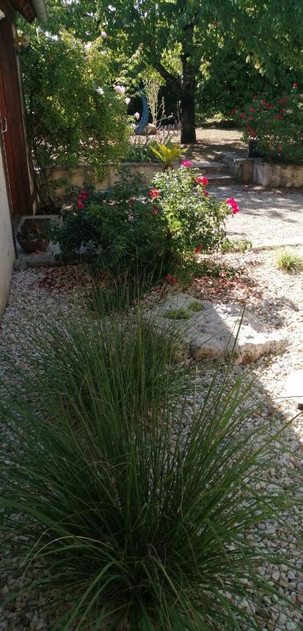 L'Orme Seul, Maison D'Hotes Vineuil  Esterno foto