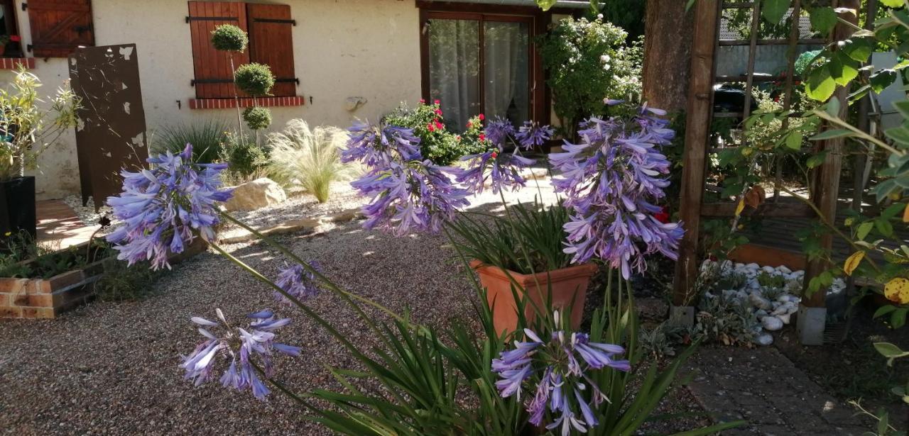L'Orme Seul, Maison D'Hotes Vineuil  Esterno foto