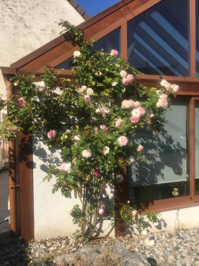 L'Orme Seul, Maison D'Hotes Vineuil  Esterno foto